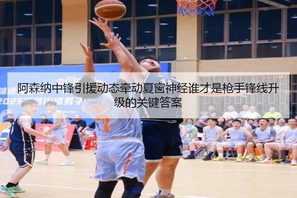 阿森纳中锋引援动态牵动夏窗神经谁才是枪手锋线升级的关键答案 - kaiyun